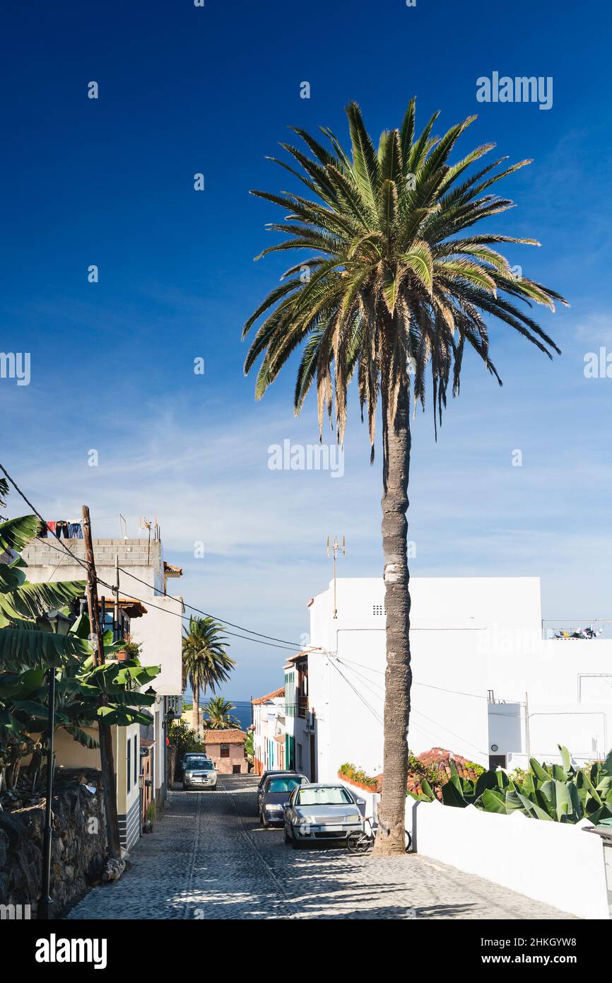Rue et maisons au ciel bleu profond et un palmier dans le village de San Andres à l'est de la Palma, Espagne. Banque D'Images