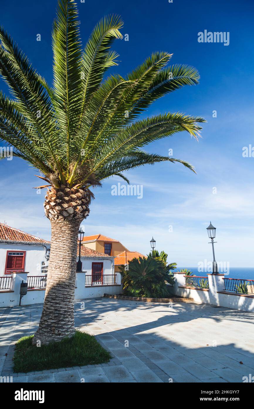 Place centrale du village de San Andres avec un ciel bleu profond et un palmier dans l'est de la Palma, Espagne. Banque D'Images