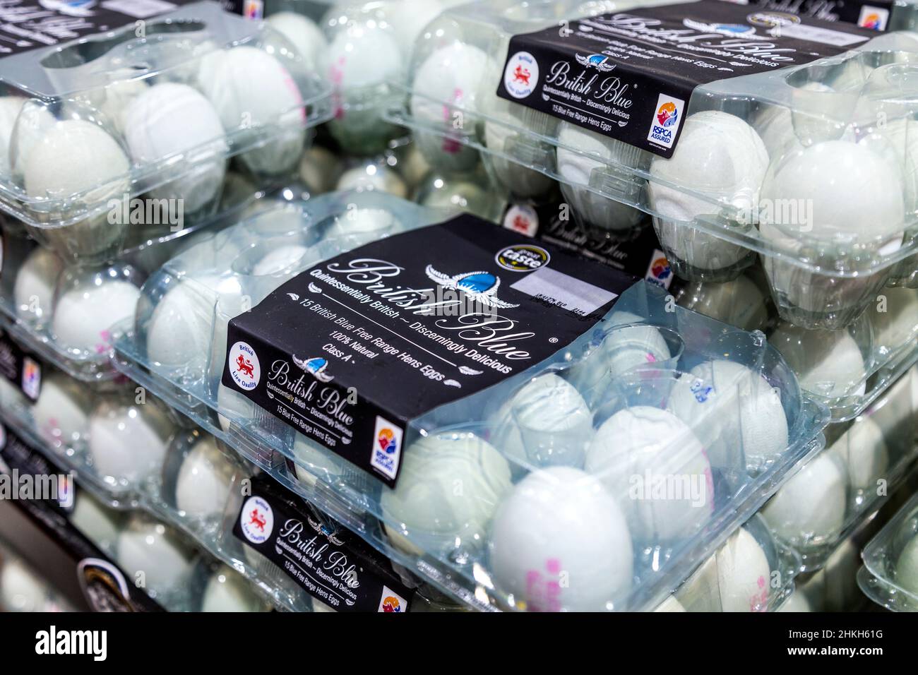 Emballage des œufs British Blue dans un supermarché Banque D'Images