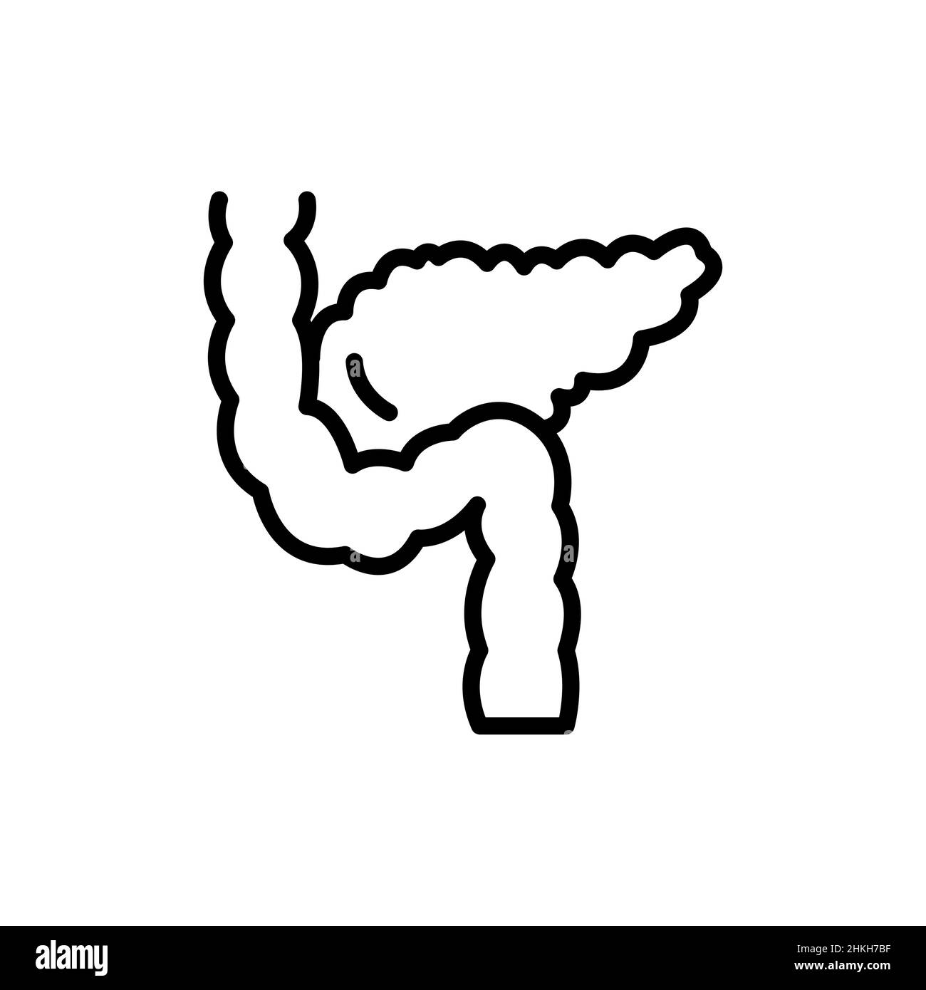 Icône de la ligne de couleur du pancréas d'organe humain.Elément vectoriel isolé.Pictogramme de contour pour la page Web, l'application mobile, la promotion Illustration de Vecteur