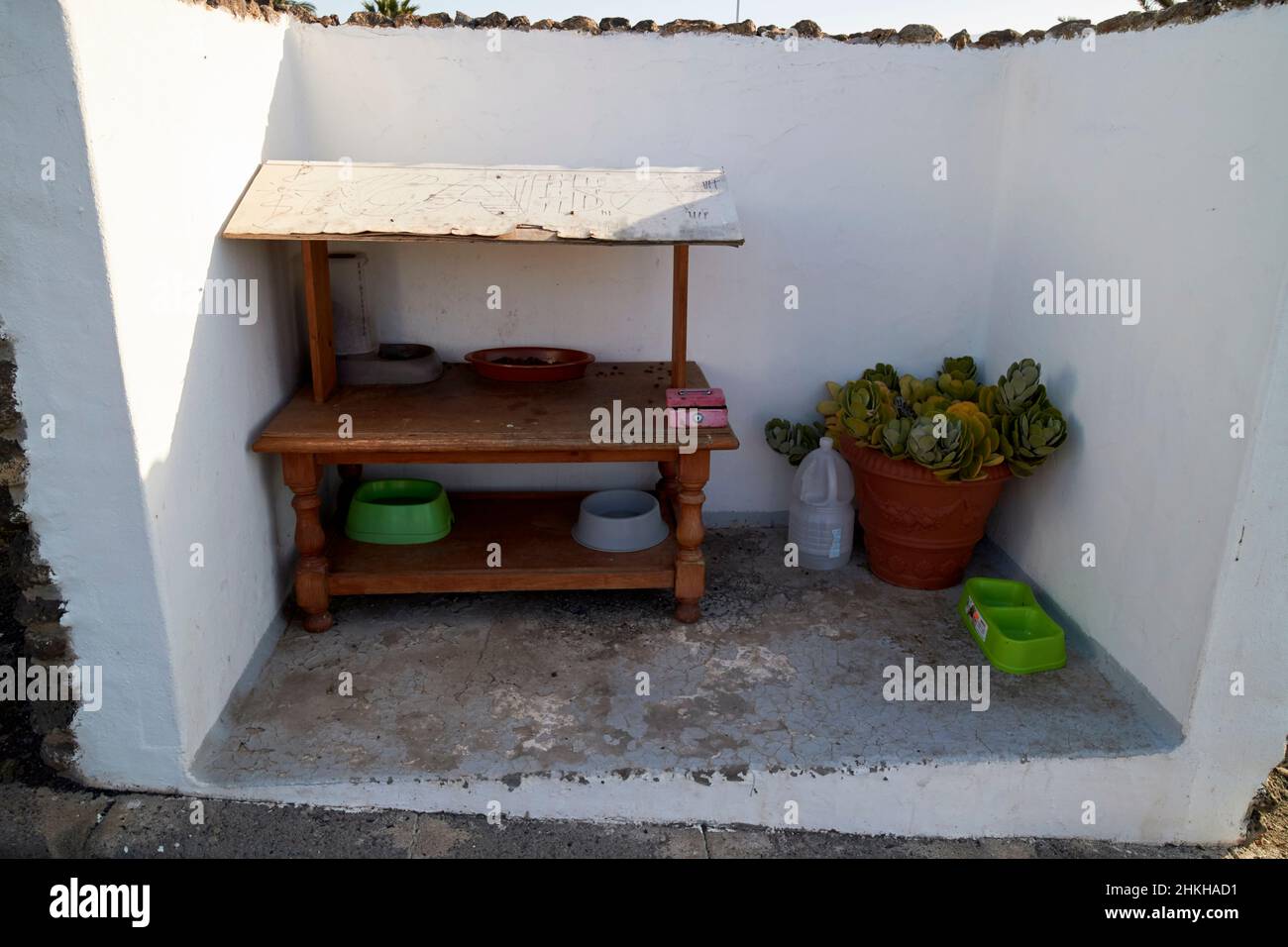 Nourriture et eau laissés pour les chats errants à Lanzarote îles Canaries Espagne Banque D'Images