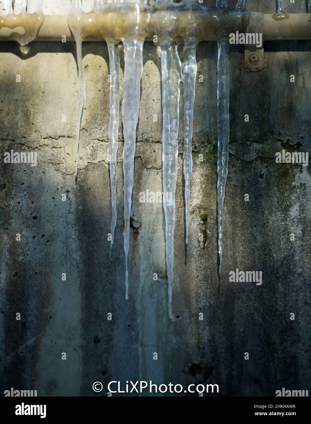glaçons pointus transparents congelés suspendus à un tuyau sur un mur en béton gundy extérieur, glacière dans le soleil chaud, format vertical grunge Banque D'Images