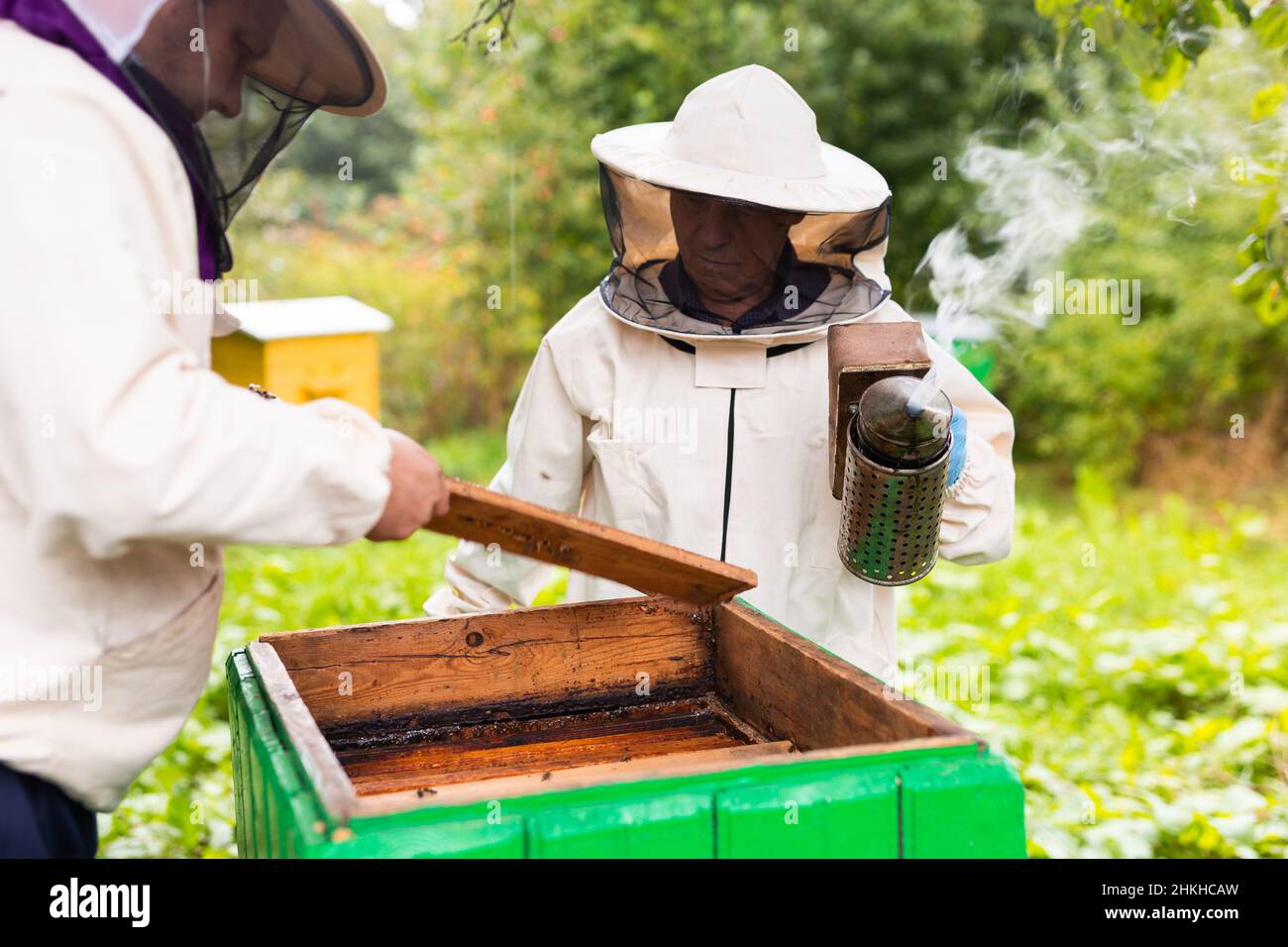 Apiculteurs examinant des ruches sur un champ herbacé.Apiculture.Collecte du miel à la fin de l'été Banque D'Images