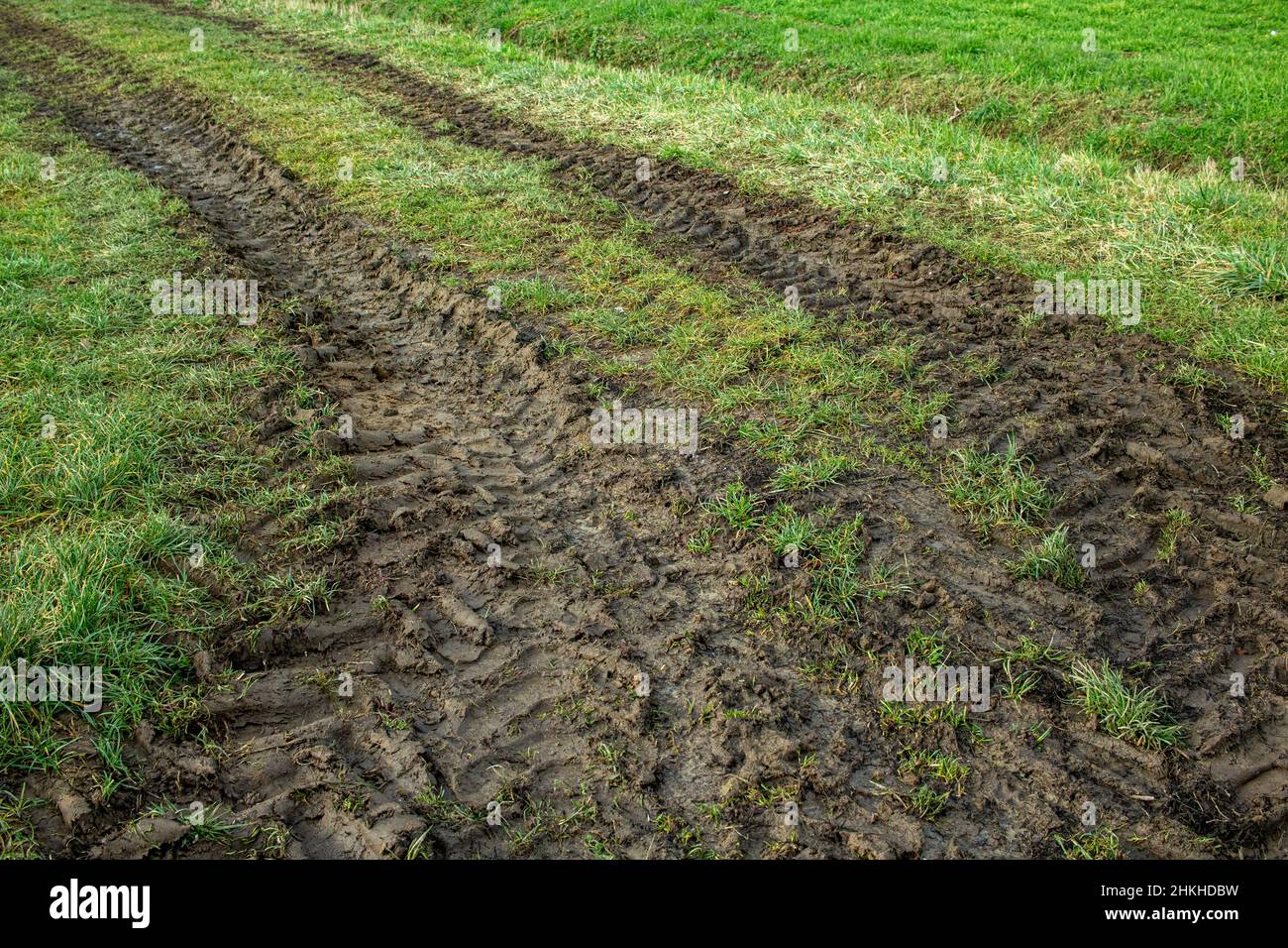 Le véhicule agricole à roues larges laisse des marques profondes sur les pneus d'un pré après que la pluie ait ramolli la surface du sol Banque D'Images