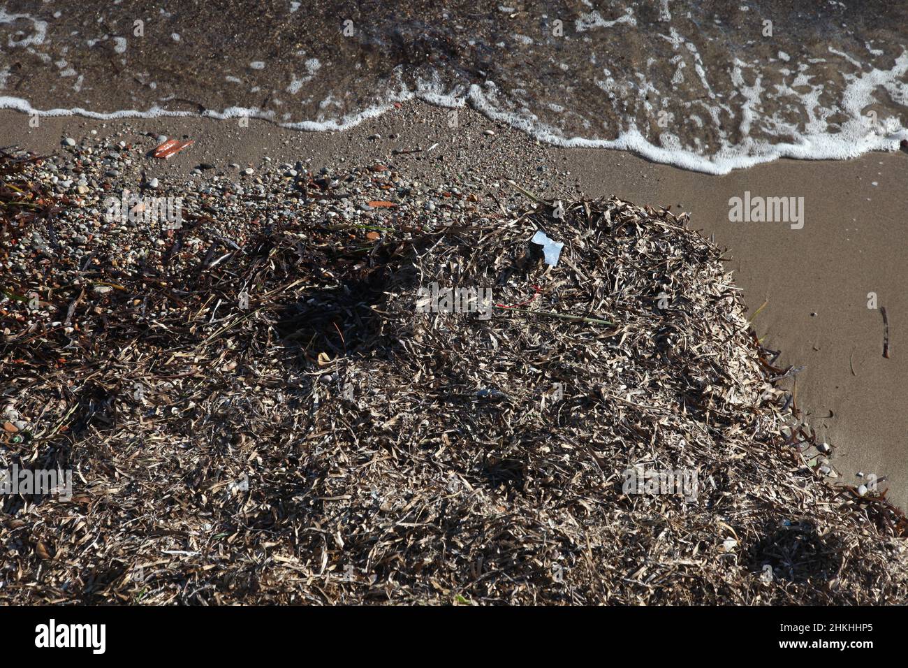 La plage après le vent du sud-ouest brun algue sur la plage. Vue de dessus. Banque D'Images
