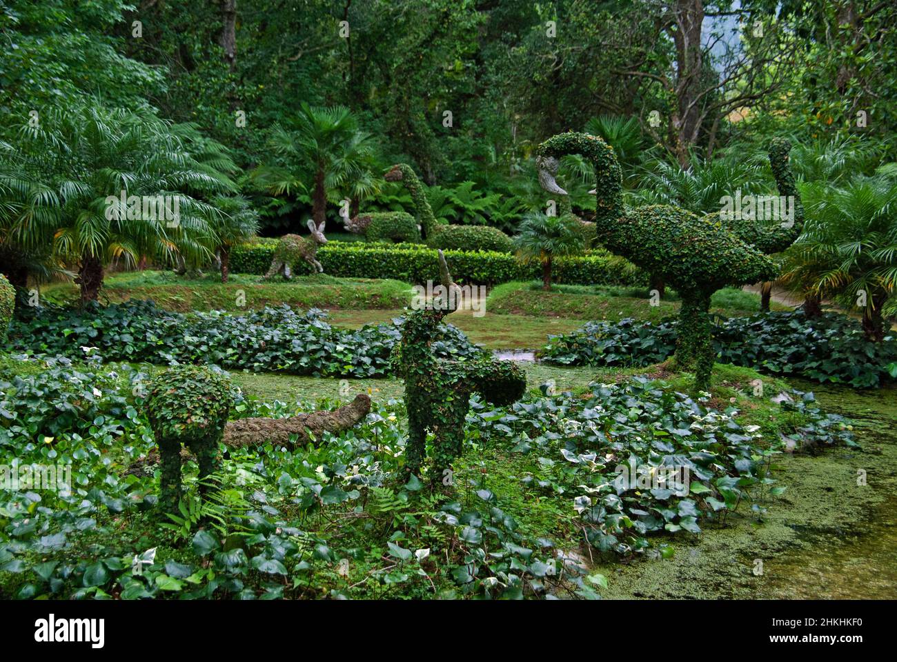 Terra Nostra Garden se trouve dans la vallée de Furnas, sur l'île de São Miguel, dans l'archipel des Açores.Il a été créé aux 18th et 19th siècles. Banque D'Images