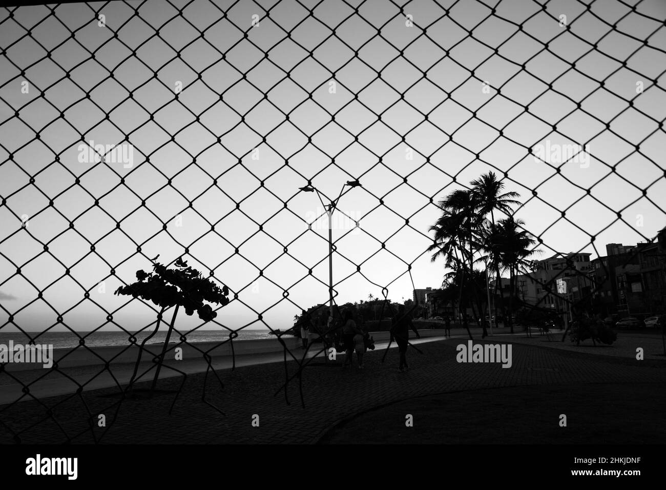 Silhouette de grille, fil; arbres et poteau contre le coucher de soleil jaune et bleu.Salvador, Bahia, Brésil. Banque D'Images