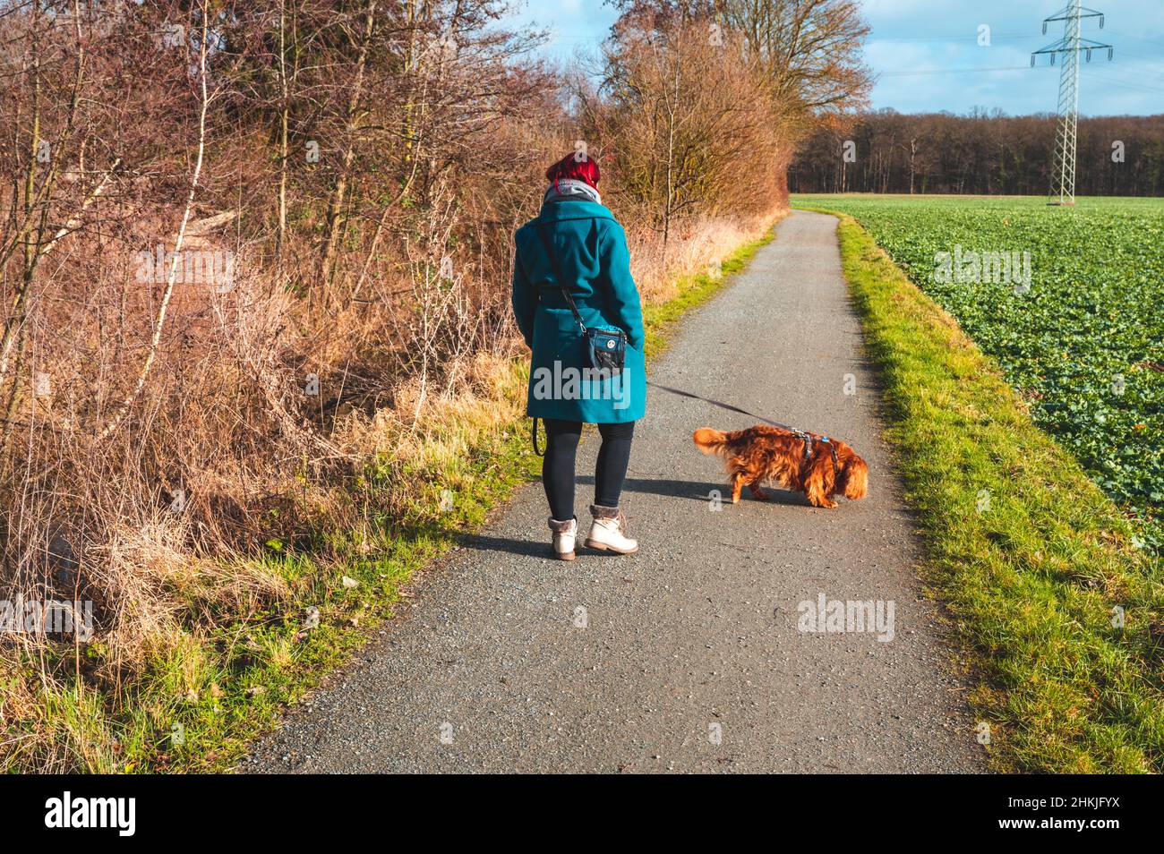 Femme âgée de 30-35 ans marchant avec son chien Banque D'Images