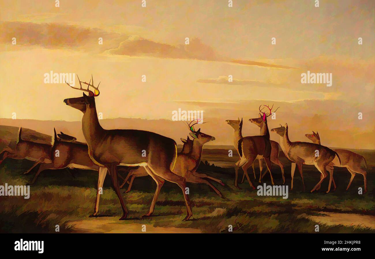 Art inspiré par le cerf surpris - une scène des Prairies, huile sur toile, ca. 1847, 37 13/16 x 59 15/16 po, 96 x 152,2 cm, animaux, cerfs, paysage, peinture, Ciel, cerfs, oeuvres classiques modernisées par Artotop avec une touche de modernité. Formes, couleur et valeur, impact visuel accrocheur sur l'art émotions par la liberté d'œuvres d'art d'une manière contemporaine. Un message intemporel qui cherche une nouvelle direction créative. Artistes qui se tournent vers le support numérique et créent le NFT Artotop Banque D'Images