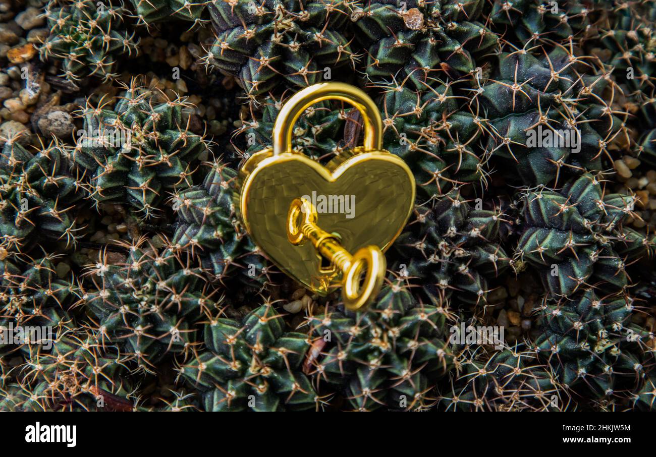 Gros plan du cadenas d'amour en forme de coeur doré et clé sur un petit fond de pile de cactus.Concept de la Saint-Valentin, espace de copie, mise au point sélective. Banque D'Images
