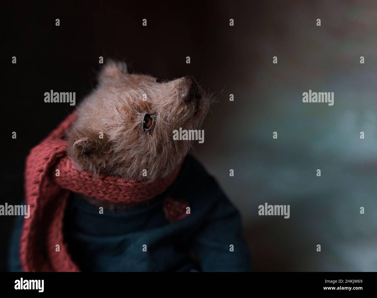 photo d'un ours en peluche de collection fait à la main, adaptée à l'impression dans une carte de calendrier ou à l'insertion dans un cadre pour offrir un plaisir esthétique Banque D'Images