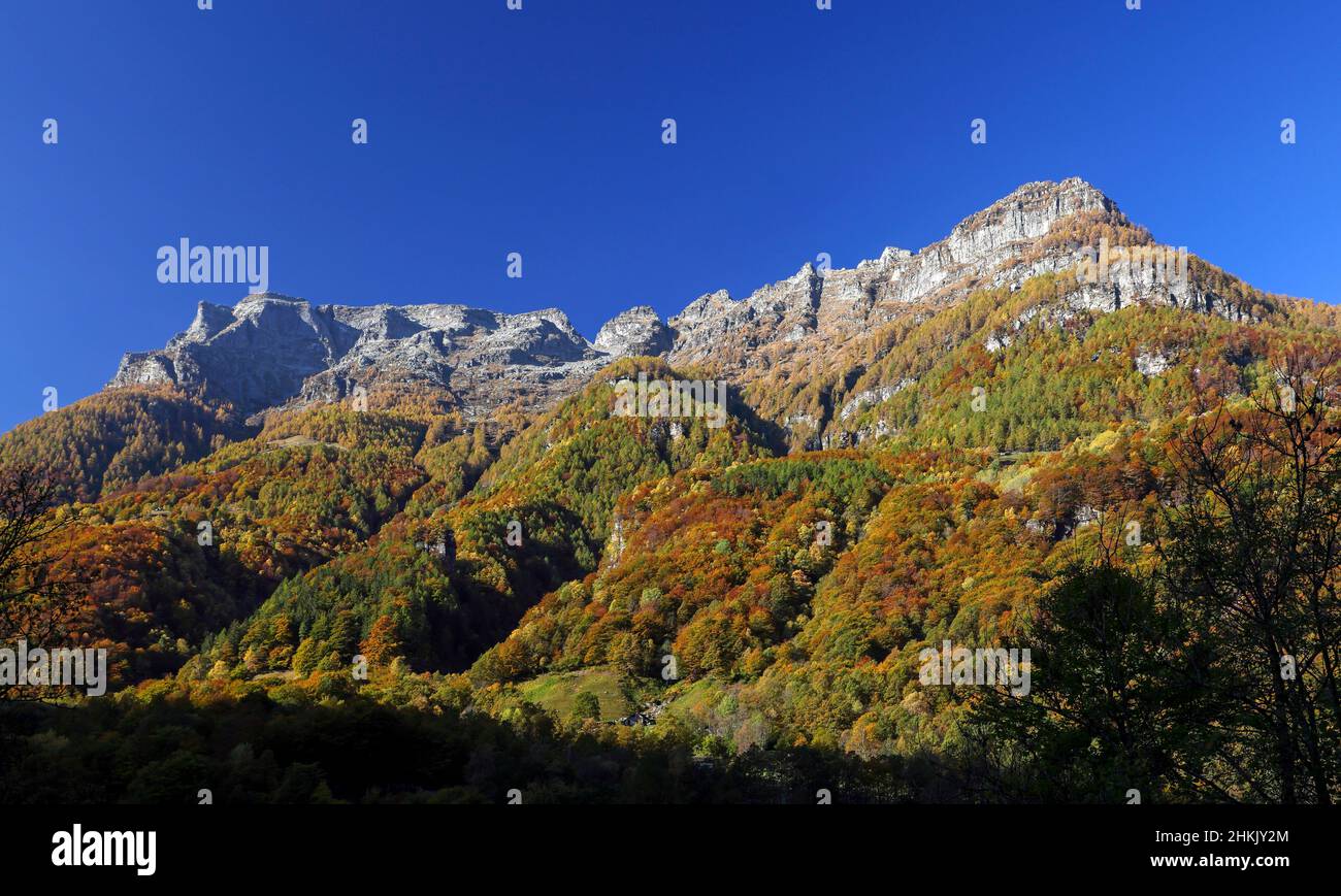 Montagne Poncione della Marcia, Suisse, Tessin, Verzascatal Banque D'Images