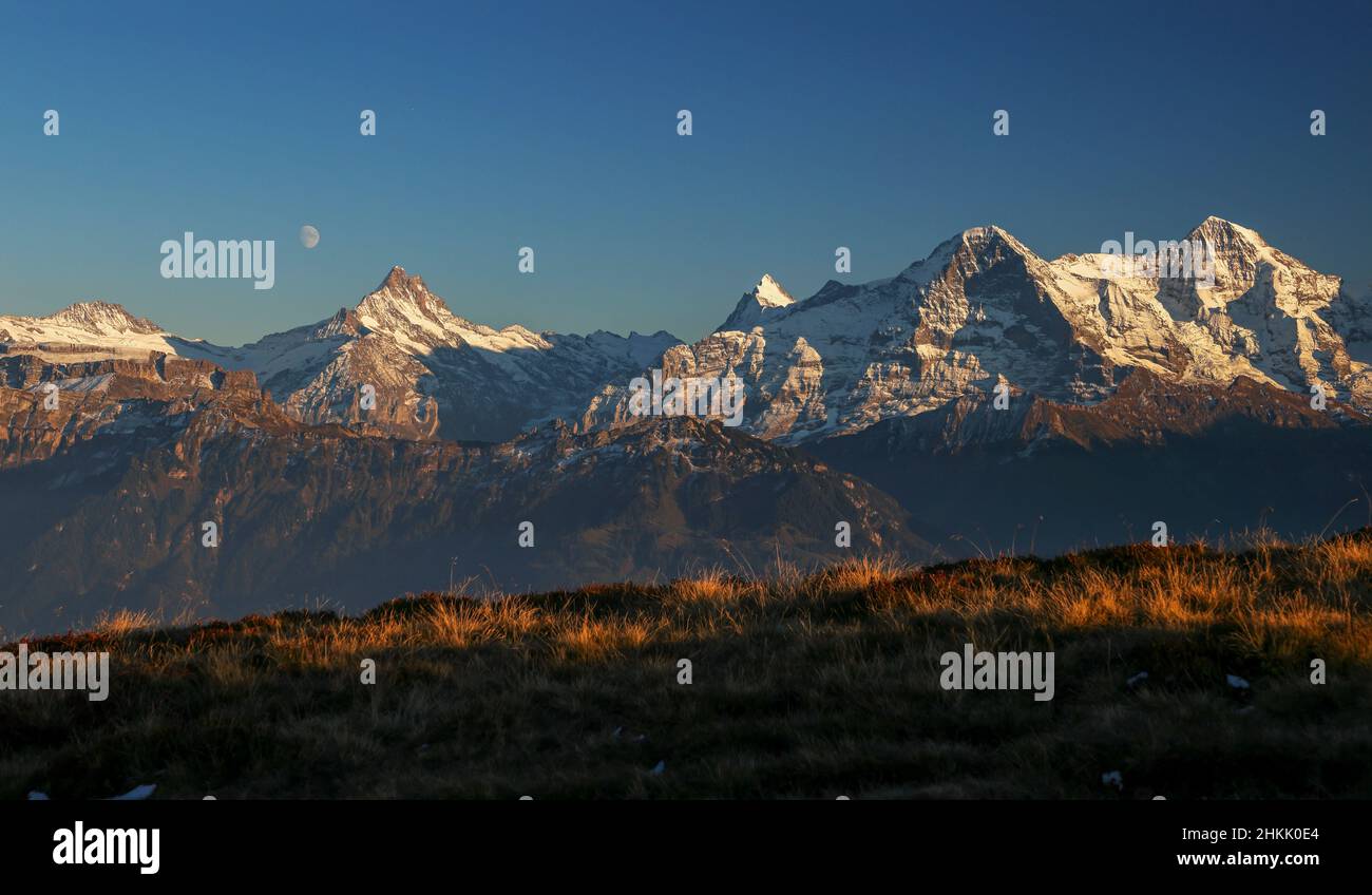 Vue depuis le Niederhorn des Alpes bernoises avec lune au-dessus de Schreckhorn, Eiger, Moench et Jungfrau après le coucher du soleil, Suisse, Oberland bernois Banque D'Images