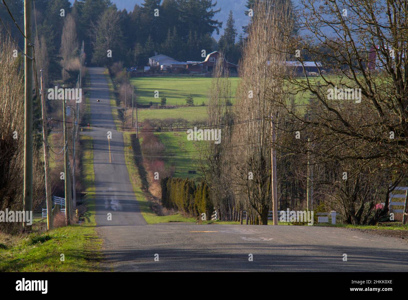 Une route de campagne s'étend jusqu'à la distance sous la lumière du soleil, en fin d'après-midi, près d'une ferme dans la vallée de Cowichan, sur l'île de Vancouver, en Colombie-Britannique. Banque D'Images