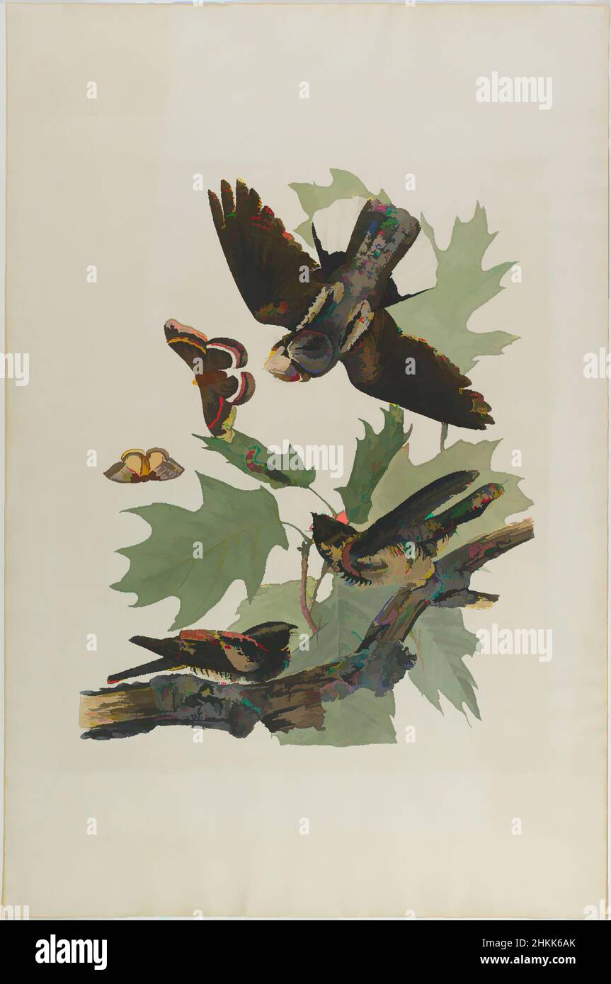 Art inspiré par Whip-Poor-Wvolonté, Aquaint, 1830, env.: 27 x 40 po., 68,6 x 101,6 cm, oiseau, branche, papillon, faune, vol, flore, feuilles, papillon, étude de la nature, Ornithologie, œuvres classiques modernisées par Artotop avec une touche de modernité. Formes, couleur et valeur, impact visuel accrocheur sur l'art émotions par la liberté d'œuvres d'art d'une manière contemporaine. Un message intemporel qui cherche une nouvelle direction créative. Artistes qui se tournent vers le support numérique et créent le NFT Artotop Banque D'Images