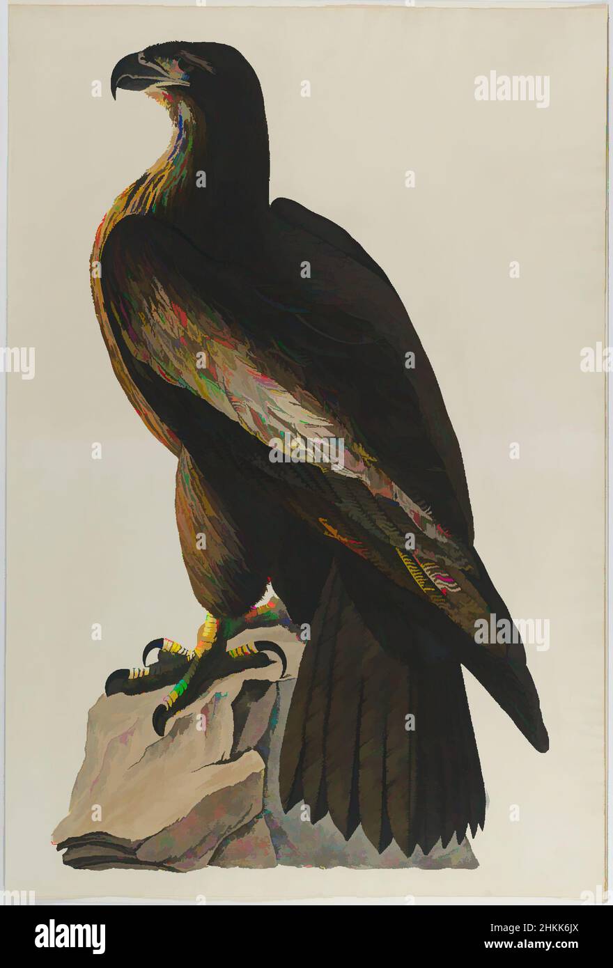 Art inspiré par Bird of Washington ou Great American Sea Eagle, Aquatint, env. 27 x 40 po., 68,6 x 101,6 cm, oiseaux, faune, flore, étude de la nature, Ornithologie, régal, talons, œuvres classiques modernisées par Artotop avec une touche de modernité. Formes, couleur et valeur, impact visuel accrocheur sur l'art émotions par la liberté d'œuvres d'art d'une manière contemporaine. Un message intemporel qui cherche une nouvelle direction créative. Artistes qui se tournent vers le support numérique et créent le NFT Artotop Banque D'Images