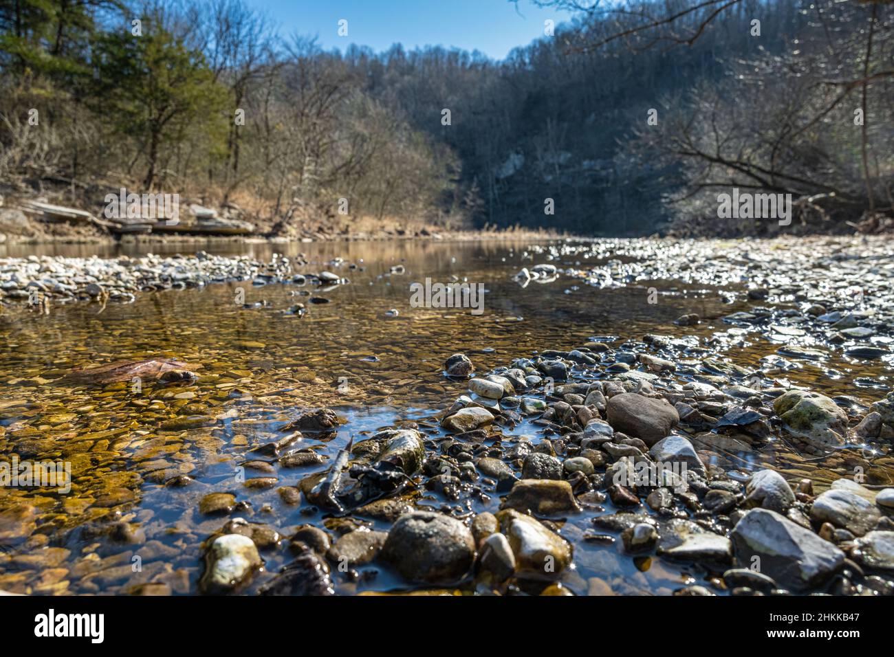 South Sylamore Creek dans les montagnes Ozark à Mountain View, Arkansas.(ÉTATS-UNIS) Banque D'Images