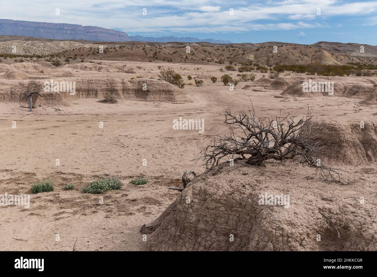 Terrains érodés dans le parc national de Big Bend. Banque D'Images