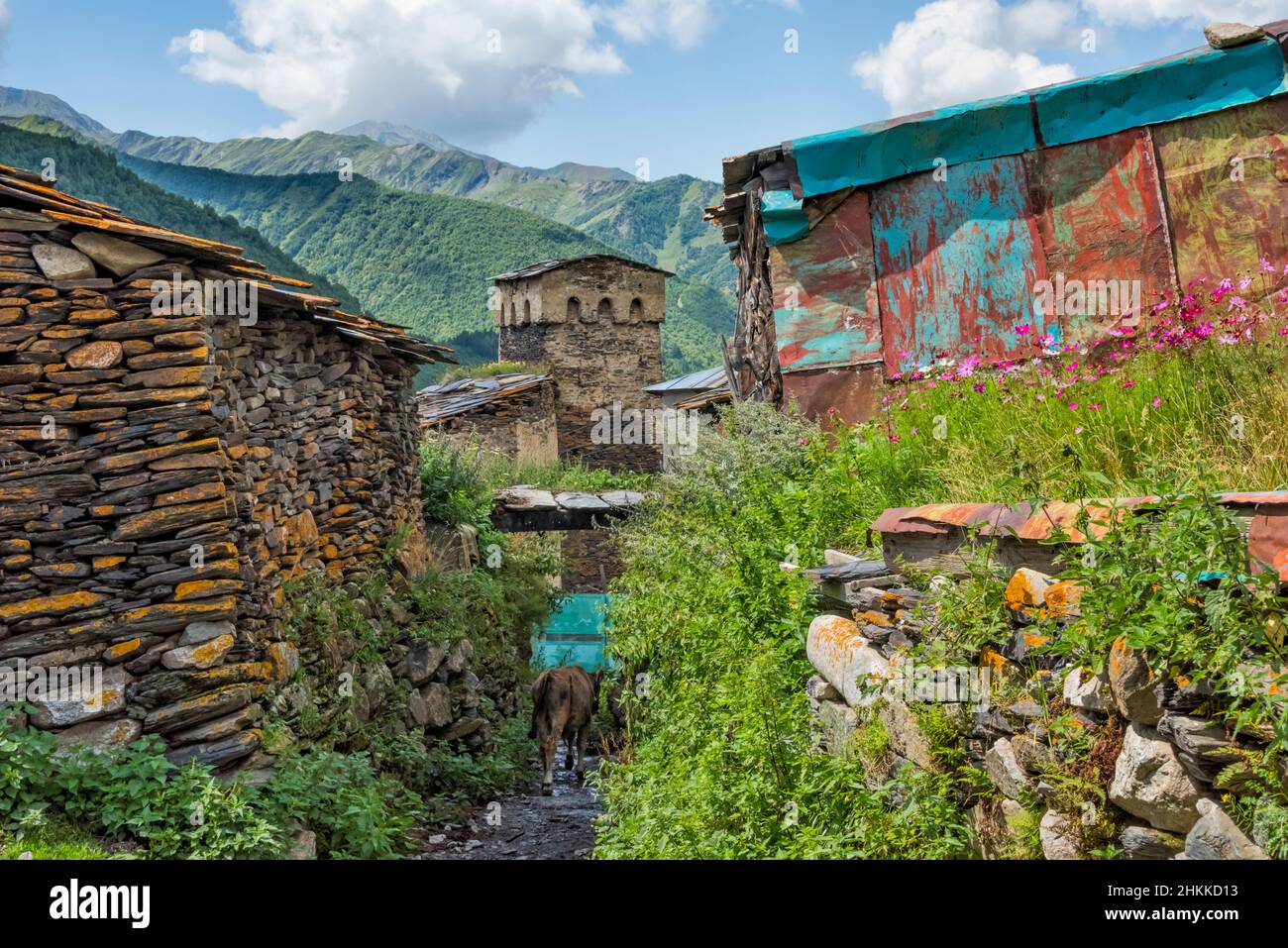 Maison en pierre de Svan dans la montagne du Caucase, Ushguli, région de Svaneti, Géorgie Banque D'Images