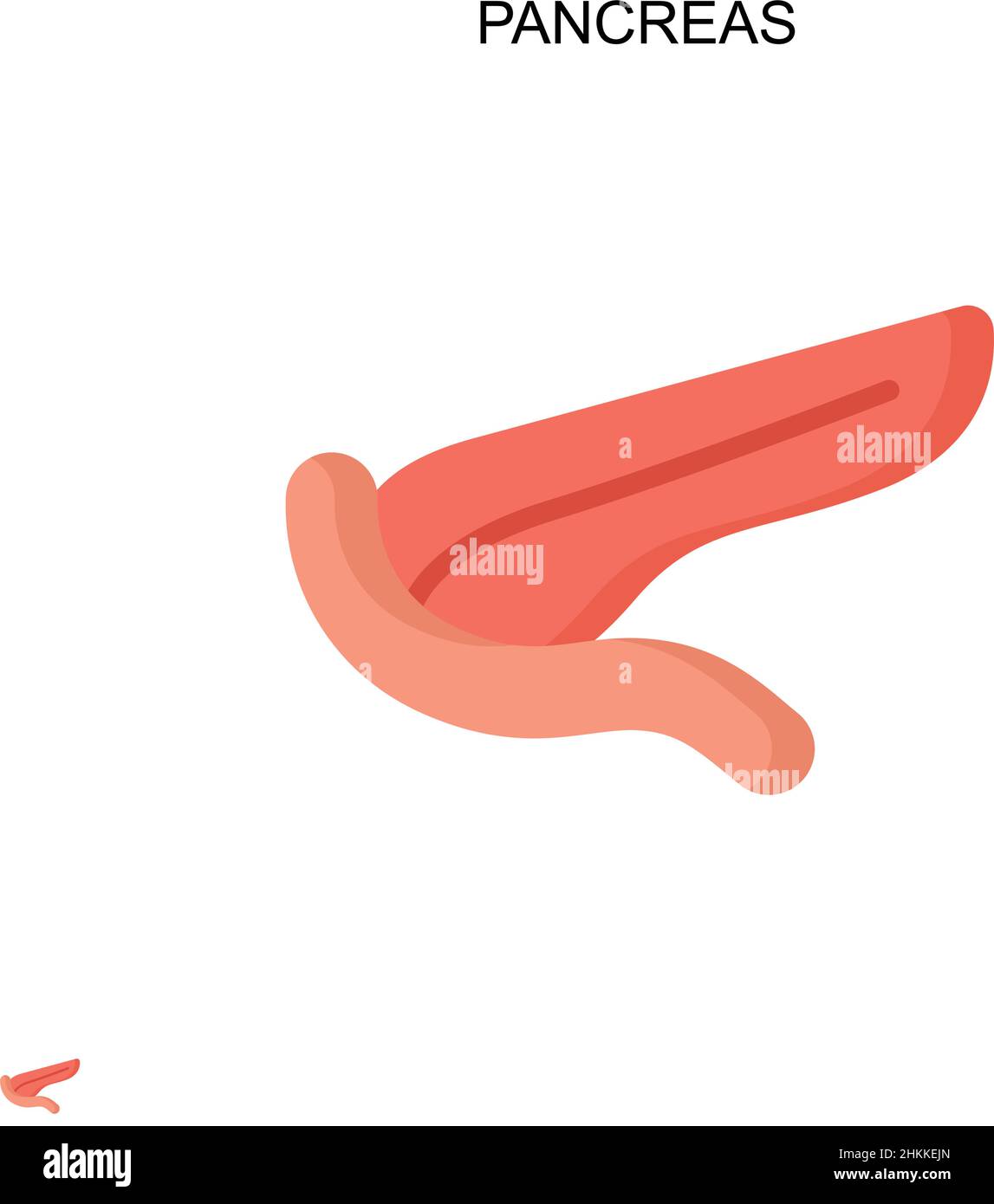 Icône de vecteur simple du pancréas.Modèle de conception de symbole d'illustration pour élément d'interface utilisateur Web mobile. Illustration de Vecteur