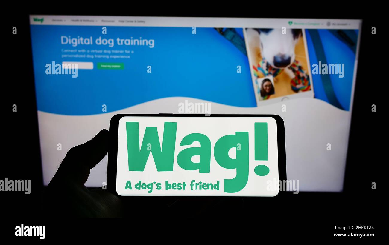 Personne tenant un téléphone mobile avec le logo de la compagnie américaine de soins d'animaux de compagnie Wag Labs Inc. À l'écran en face de la page Web d'affaires.Mise au point sur l'affichage du téléphone. Banque D'Images