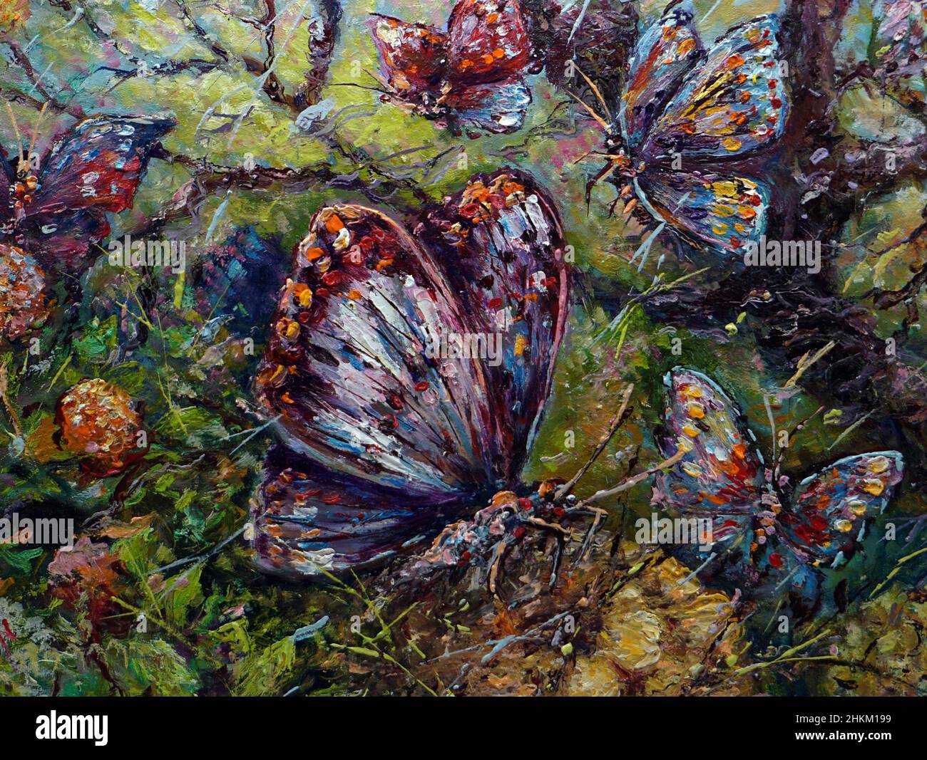 Art huile peinture couleur le papillon , insecte Banque D'Images