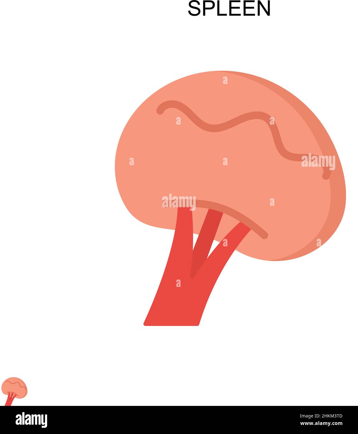 Symbole de vecteur simple de la rate.Modèle de conception de symbole d'illustration pour élément d'interface utilisateur Web mobile. Illustration de Vecteur