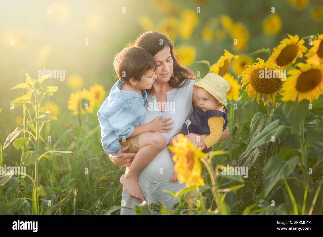 Famille heureuse mère fils et fille sont debout au milieu d'un champ de tournesol au soleil Banque D'Images