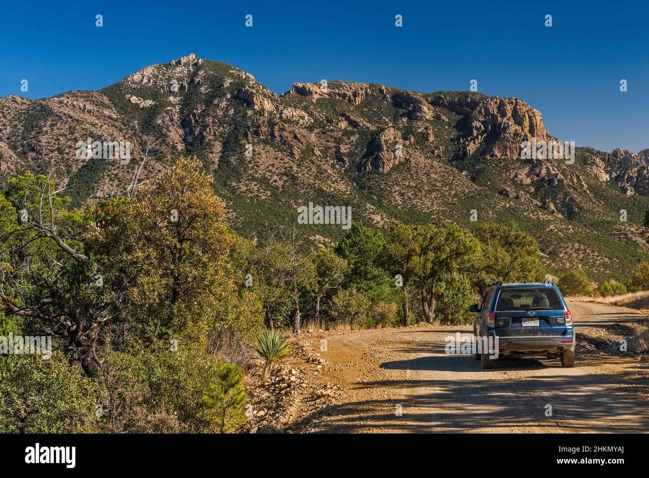 Massif du pic d'argent, forêt nationale de Coronado, montagnes Chiricahua, vue depuis Cave Creek Road (FR 42), près de Portal, Arizona, États-Unis Banque D'Images