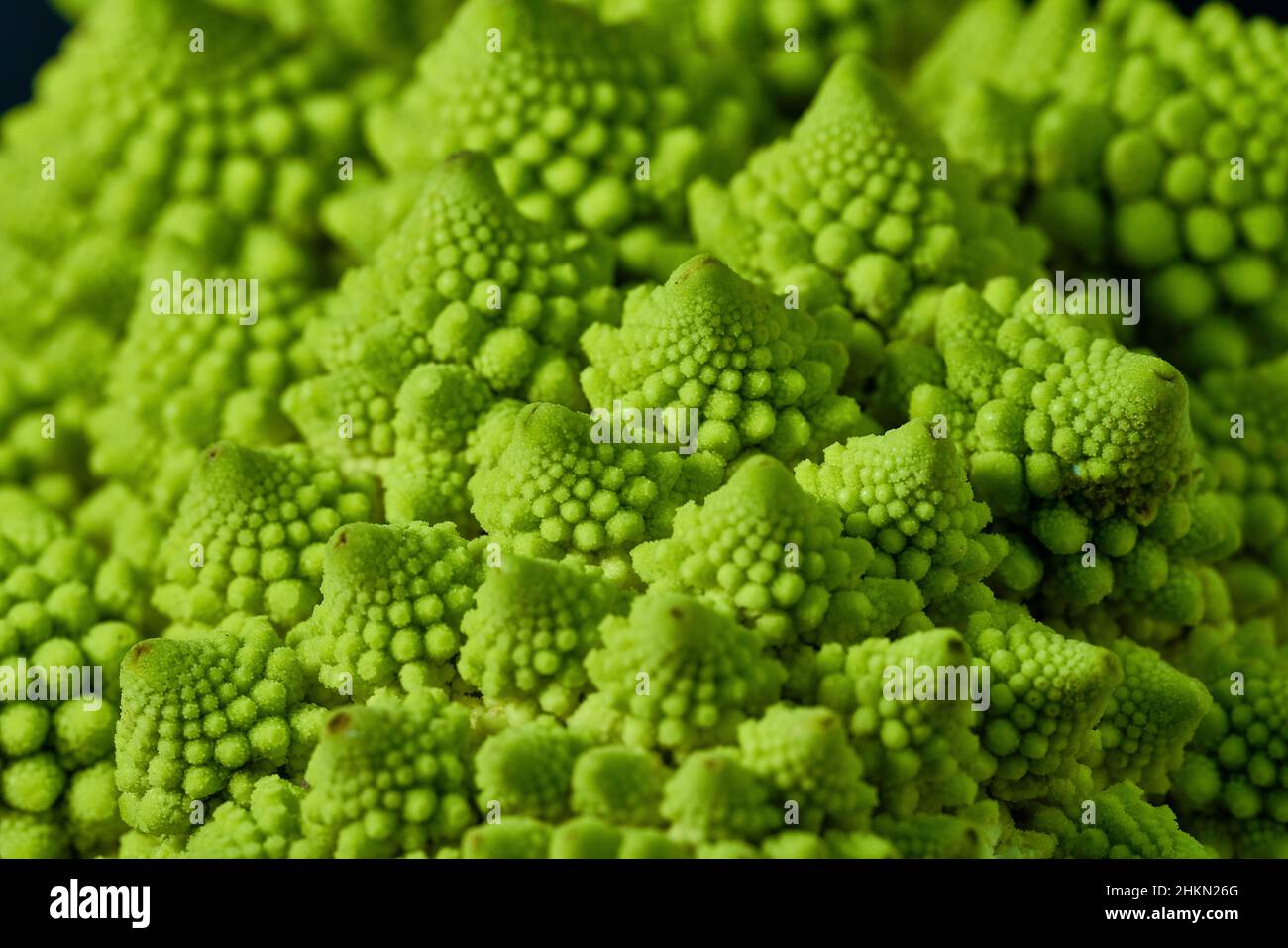 Romanesco Aussi Connu Sous Le Nom De Chou Fleur Romain Broccolo Romanesco Chou Fleur Roman Espece Brassica Oleracea Photo Stock Alamy