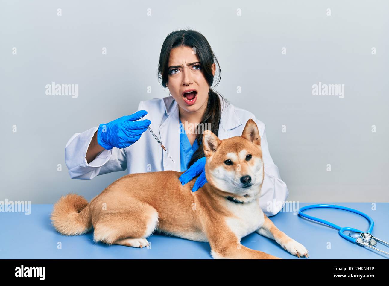 Belle femme vétérinaire hispanique mettant le vaccin à chien de chiot en colère et fou criant frustré et furieux, criant avec la colère regardant vers le haut. Banque D'Images
