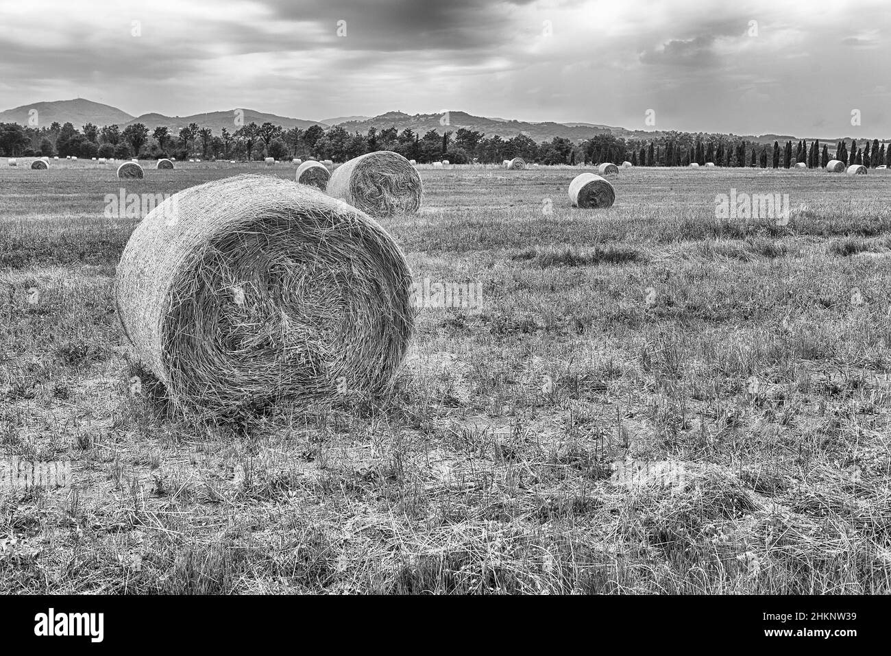 Balles de foin sur le terrain après la récolte, paysage rural en Italie Banque D'Images