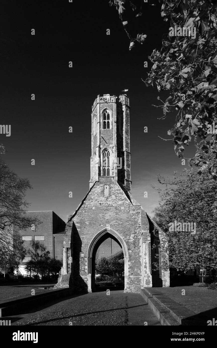 La tour des Greyfriars, ancienne friary franciscaine; Tower Gardens, ville de Kings Lynn; Norfolk; Angleterre;ROYAUME-UNI Banque D'Images