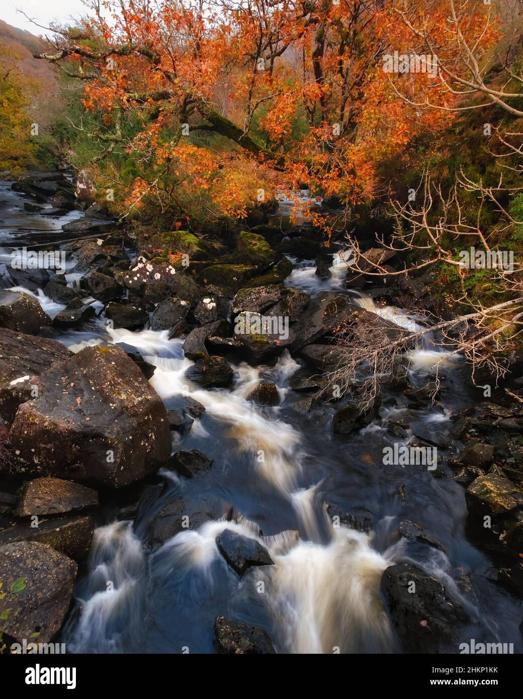 Photo pittoresque et mystérieuse de Mountain creek dans les montagnes de Wicklow, en Irlande Banque D'Images