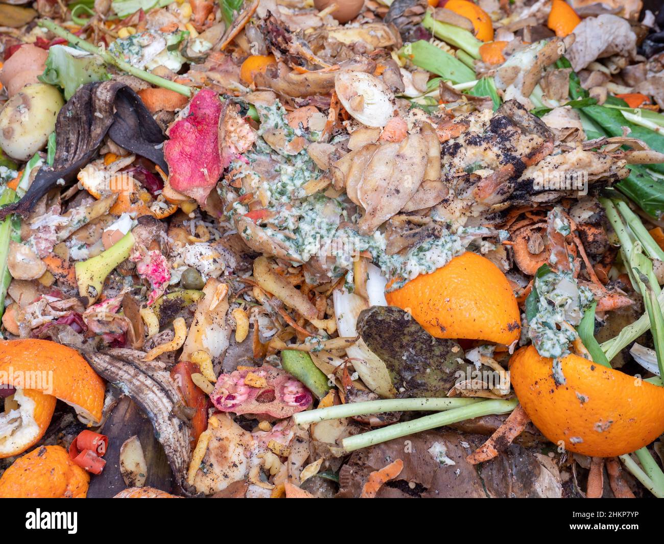 Déchets organiques dans la maison de jardin de compost Banque D'Images