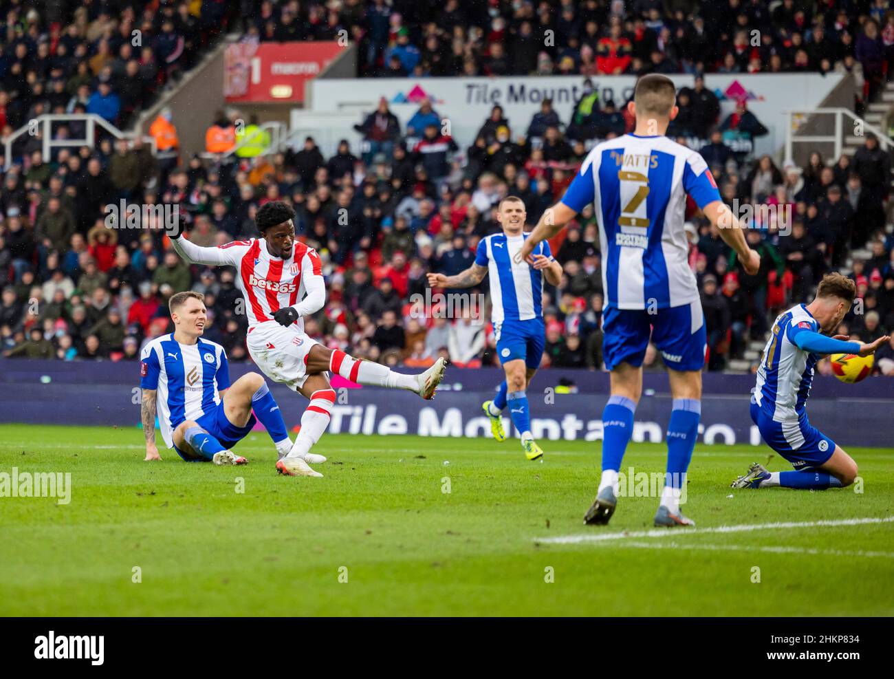 Josh Maja, de stoke City, marque son premier but lors du quatrième tour de la coupe Emirates FA au stade bet365, Stoke-on-Trent.Date de la photo: Samedi 5 février 2022. Banque D'Images