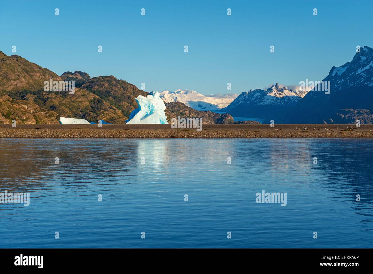 Iceberg par le lac Grey avec le glacier Gray en arrière-plan au lever du soleil, parc national Torres del Paine, Patagonie, Chili. Banque D'Images