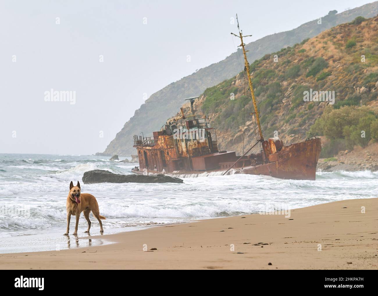 Naufrage dans les mers orageux sur une plage dans le Péloponnèse en Grèce Banque D'Images