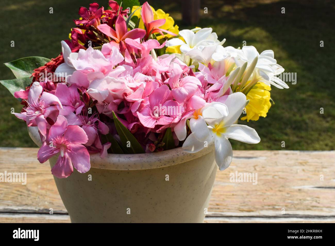 Fleurs multicolores différents types de couleurs et de fleurs dans le seau d'eau.Frangipani blanc, oléandres, kaner, champa au fleuriste Banque D'Images