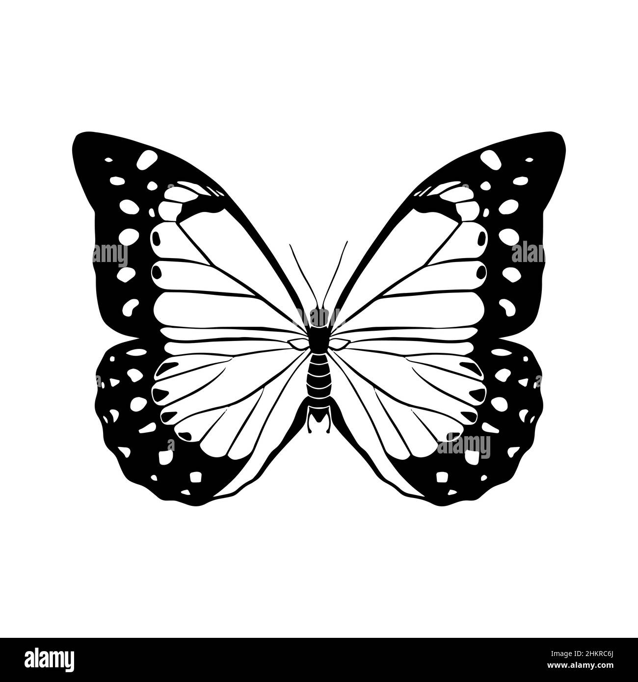 Tracé de contour d'un papillon sur fond blanc.Style Doodle.Un élément de conception. Illustration de Vecteur