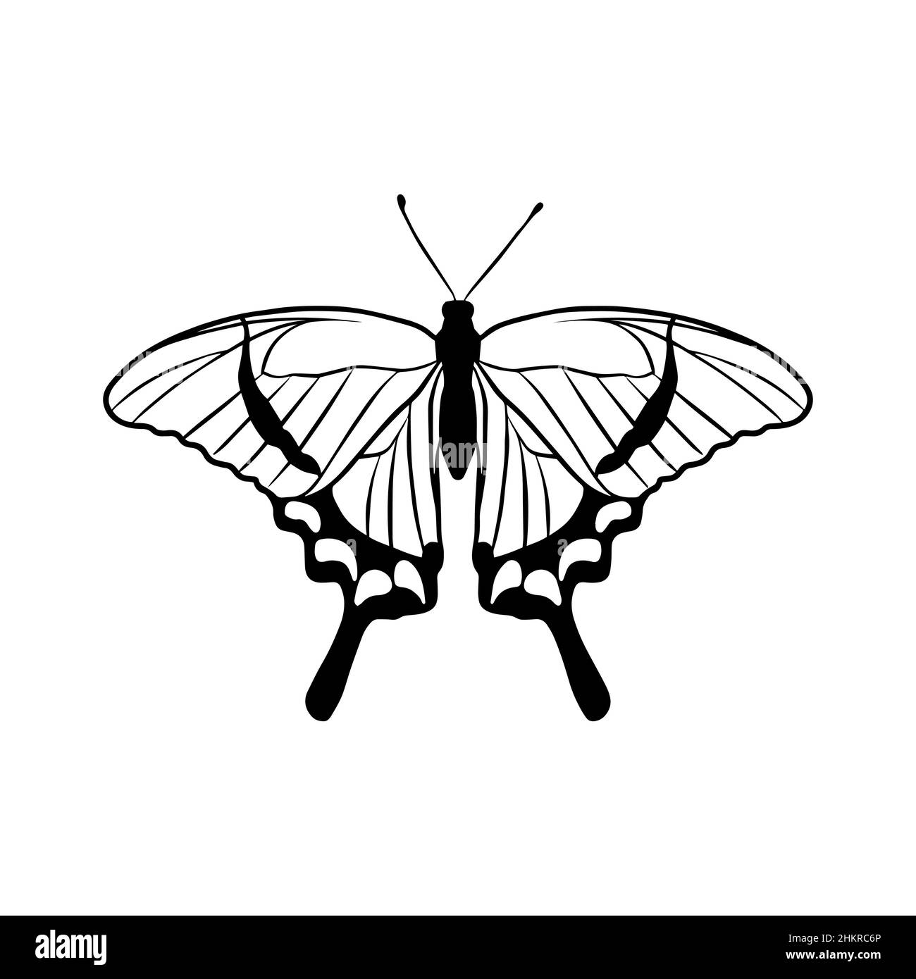 Tracé de contour d'un papillon sur fond blanc.Style Doodle.Un élément de conception. Illustration de Vecteur