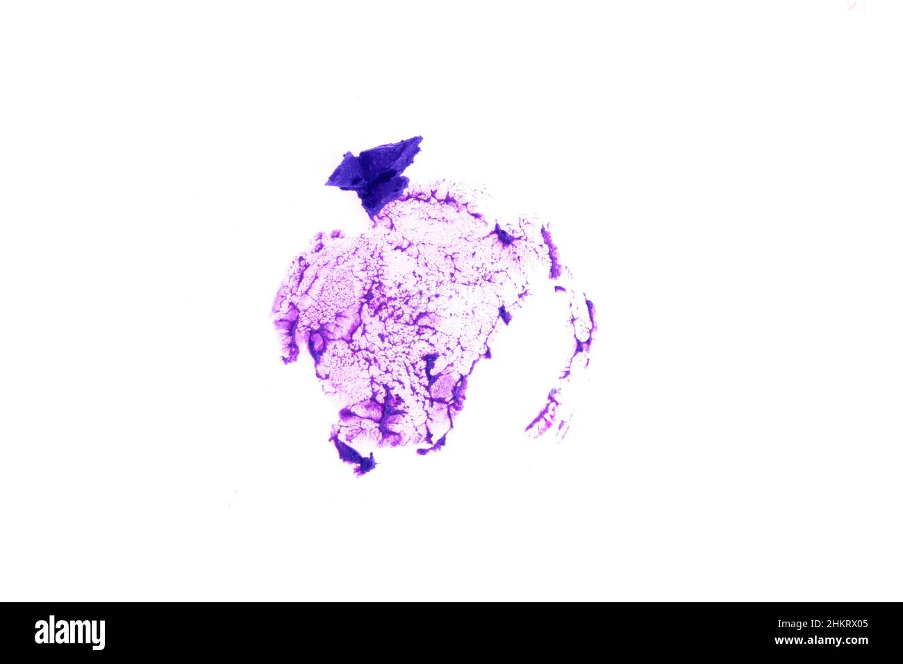 Couleur lilas du produit cosmétique.Un imprimé rouge à lèvres en forme de cercle, se démarquent sur un fond blanc.Texture crémeuse du maquillage.Photo de haute qualité Banque D'Images Couleur lilas du produit cosmétique.Un imprimé rouge à lèvres en forme de cercle, se démarquent sur un fond blanc.Texture crémeuse du maquillage.Photo de haute qualité Banque D'Images