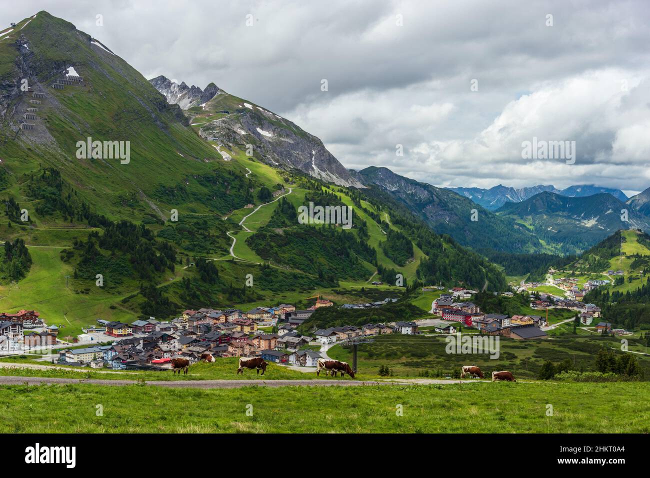 Vaches broutant sur un pré alpin dans les maisons de fond, routes, remontées mécaniques dans la station de ski d'alpen Obertauern en été, Radstadter Tauern, Autriche Banque D'Images