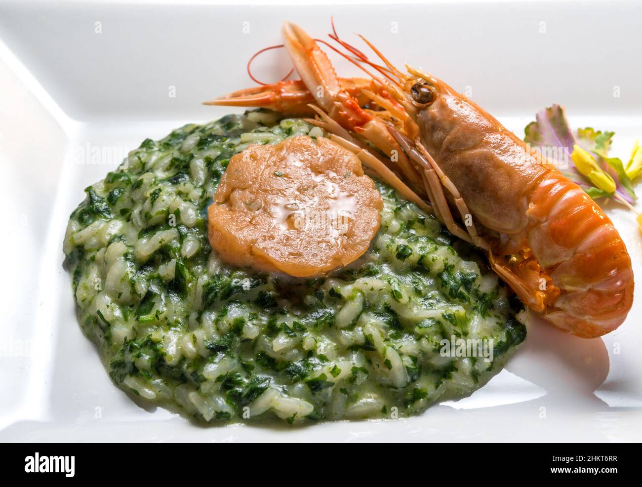 Risotto aux herbes avec langoustine en gros plan.Dans un plat blanc Banque D'Images