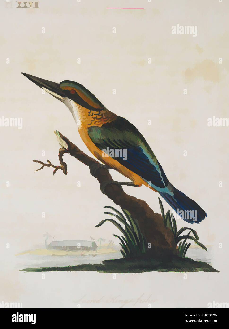 Art inspiré par le Sacred Kingfisher. Plaque XXVII. D'Un résumé général des oiseaux, John Latham, 1795, Angleterre, gravure, Œuvres classiques modernisées par Artotop avec une touche de modernité. Formes, couleur et valeur, impact visuel accrocheur sur l'art émotions par la liberté d'œuvres d'art d'une manière contemporaine. Un message intemporel qui cherche une nouvelle direction créative. Artistes qui se tournent vers le support numérique et créent le NFT Artotop Banque D'Images