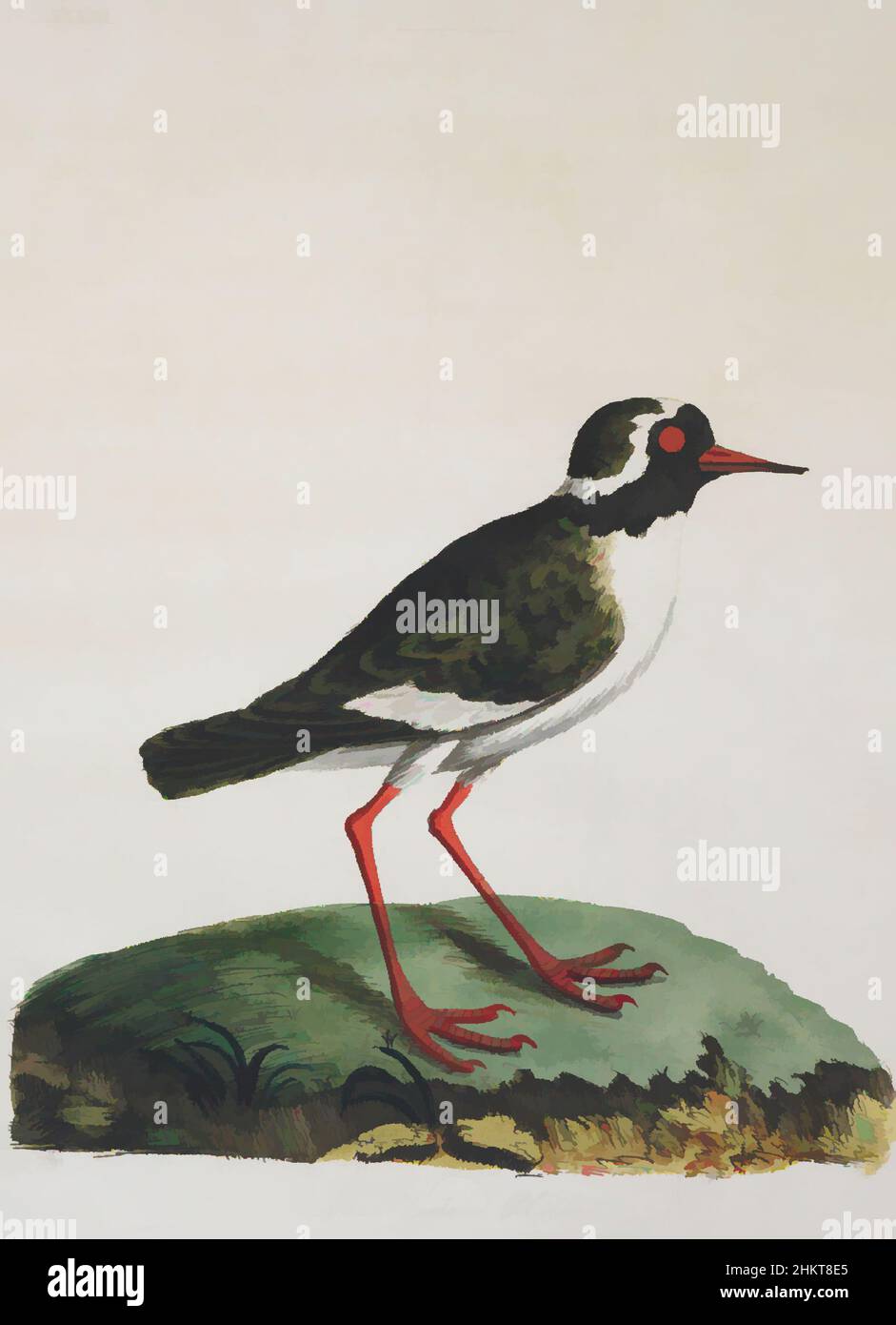 Art inspiré par le Pluvier néo-zélandais (Shore). Plaque LXXXIII. De l'Histoire générale des oiseaux, John Latham, 1821-1828, Angleterre, gravure, Œuvres classiques modernisées par Artotop avec une touche de modernité. Formes, couleur et valeur, impact visuel accrocheur sur l'art émotions par la liberté d'œuvres d'art d'une manière contemporaine. Un message intemporel qui cherche une nouvelle direction créative. Artistes qui se tournent vers le support numérique et créent le NFT Artotop Banque D'Images