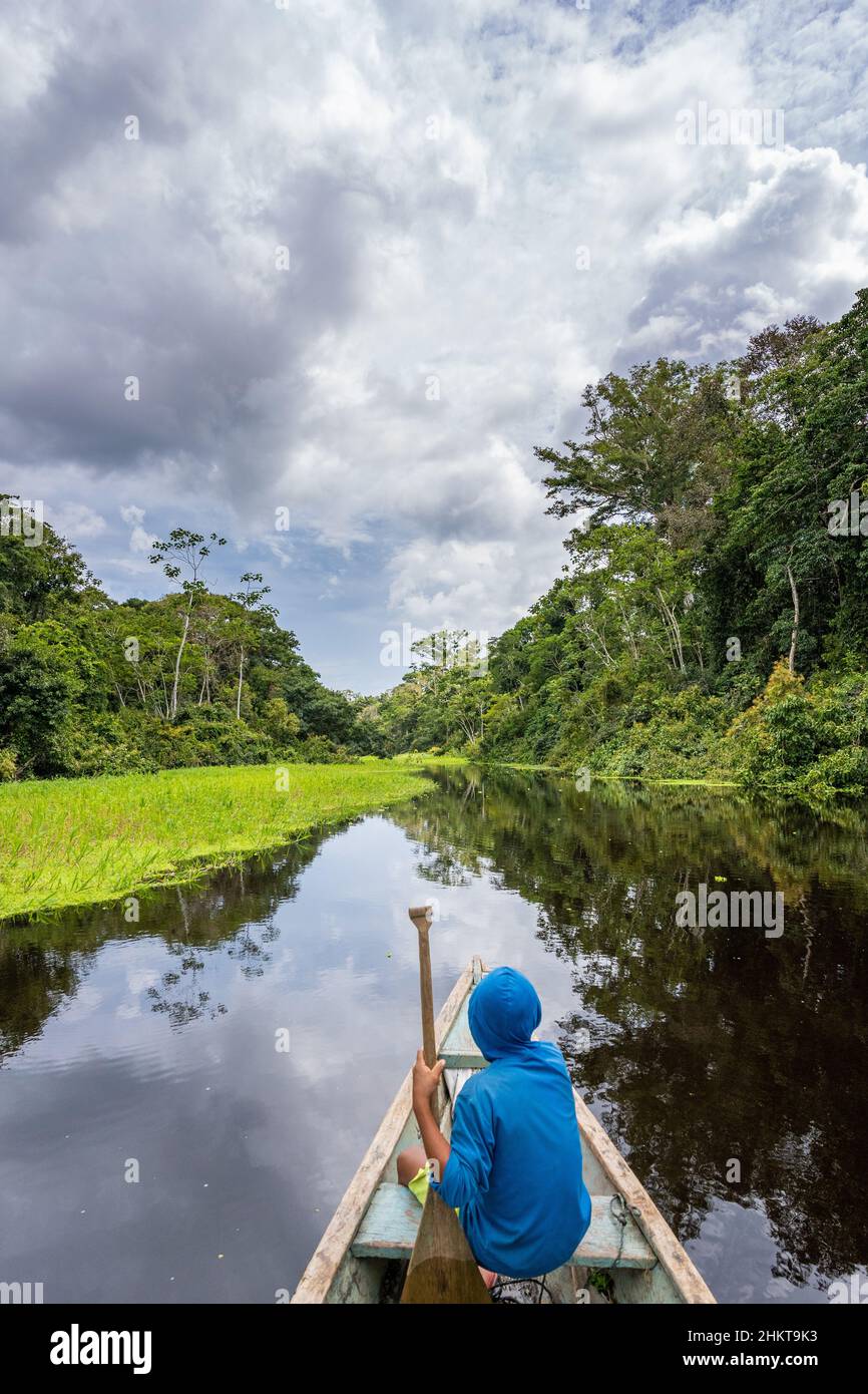 Excursion en canoë sur une rivière dans la forêt amazonienne Banque D'Images