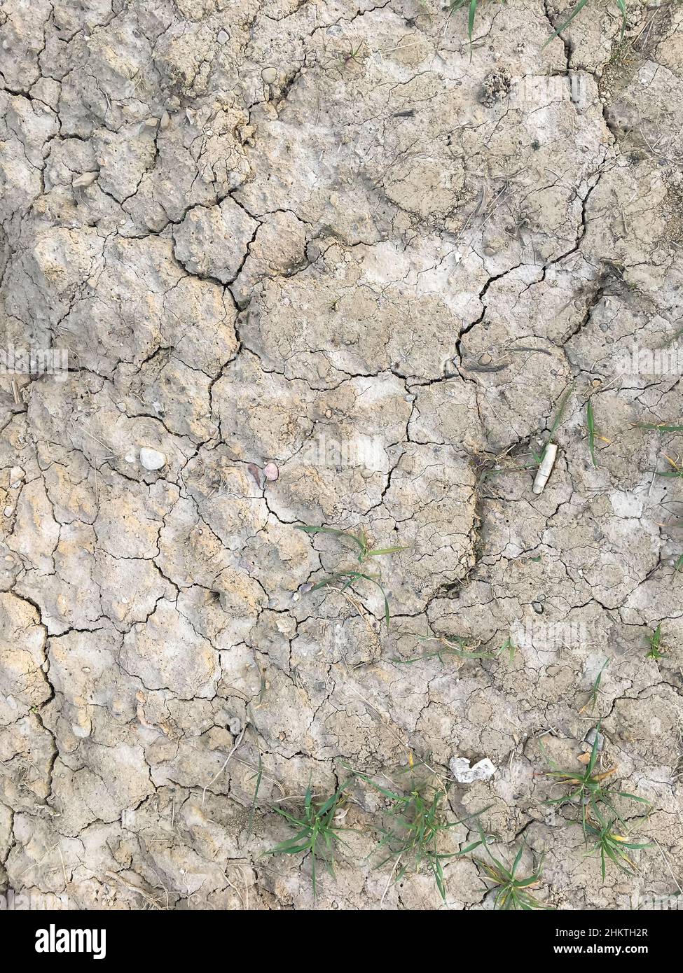 Craquer la terre sur la saison sèche, effet de réchauffement de la planète. Banque D'Images