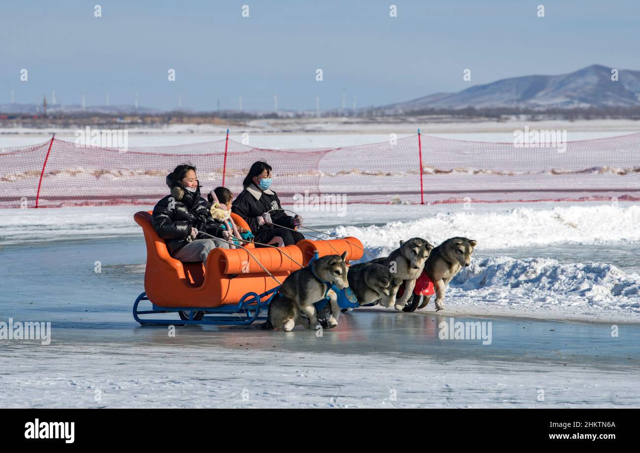 ZHANGJIAKOU, CHINE - 5 FÉVRIER 2022 - les touristes font l'expérience de sports de neige dans la zone touristique de Kulunnur, dans la ville de Zhangjiakou, dans la province du Hebei, au nord de la Chine, en Fe Banque D'Images