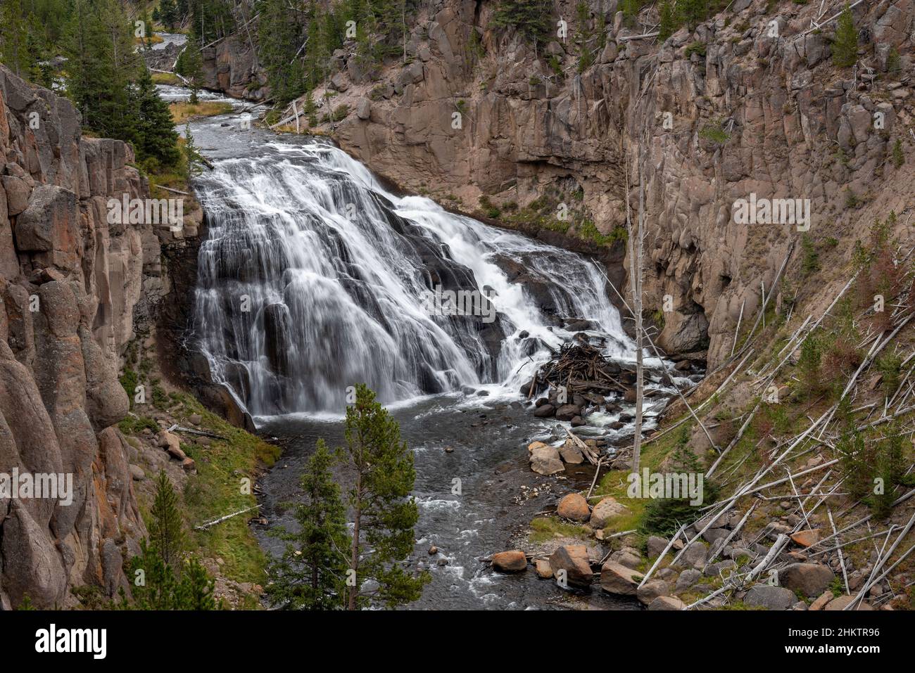 Gibbon Falls dans le parc national de Yellowstone. Banque D'Images